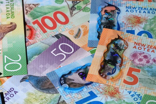 Farklı Yeni Zelanda Dolar Banknotları Yığını — Stok fotoğraf
