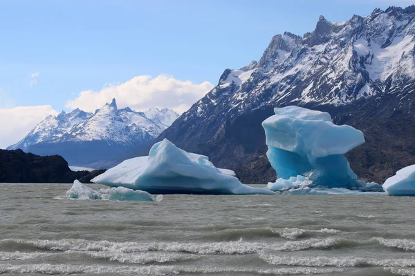 Des Icebergs Dans Lac Grey Parc National Des Torres Del — Photo