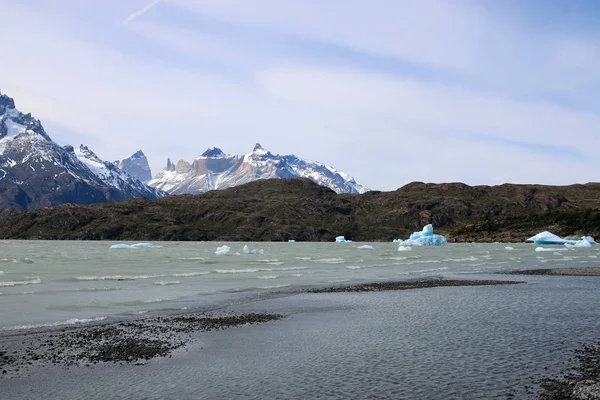 Des Icebergs Dans Lac Grey Parc National Des Torres Del — Photo