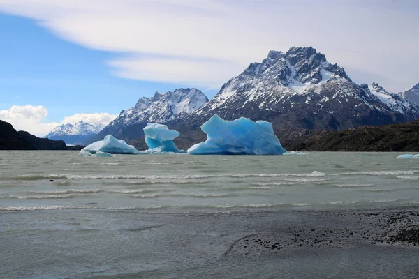 Des Icebergs Dans Lac Grey Parc National Des Torres Del — Photo