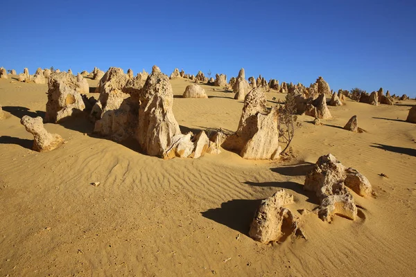 Pinnacles Národním Parku Nambung Západní Austrálie — Stock fotografie