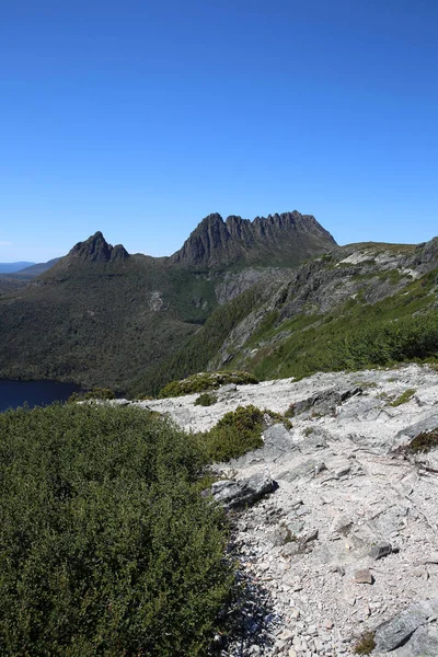 Parco Nazionale Cradle Mountain Tasmania Australia — Foto Stock