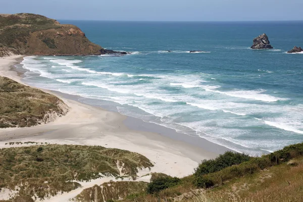 Zatoka Sandfly Półwyspie Otago Nowa Zelandia Obrazek Stockowy