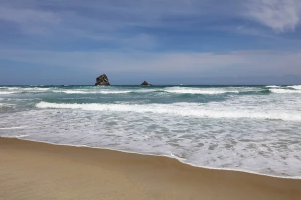 Sandfly Bay Otago Peninsula New Zealand — Stock Photo, Image