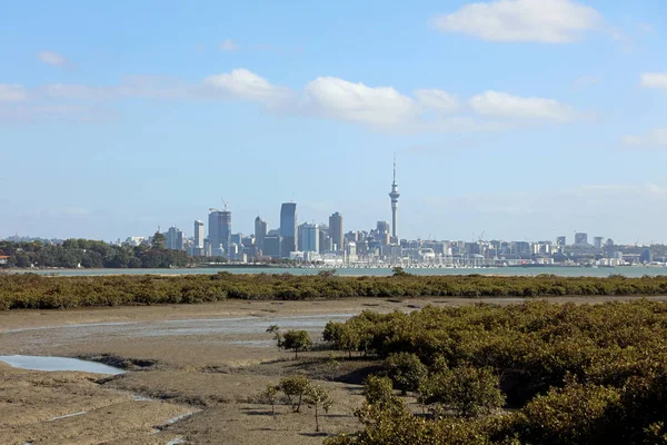 Auckland Nowa Zelandia Grudzień 2019 Skyline Auckland View Devonport Nowa — Zdjęcie stockowe