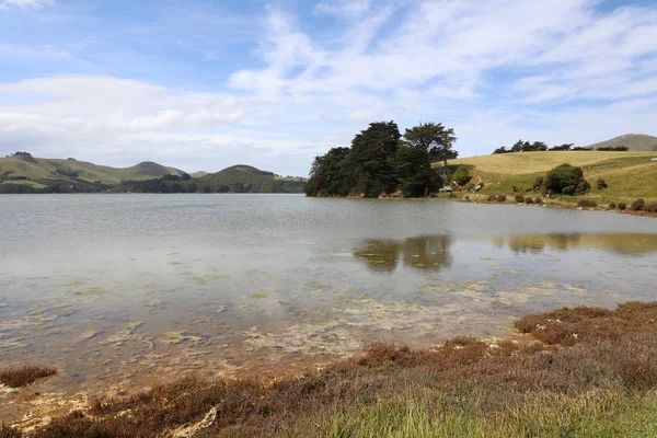 Peisaj Peninsula Otago Noua Zeelandă — Fotografie, imagine de stoc