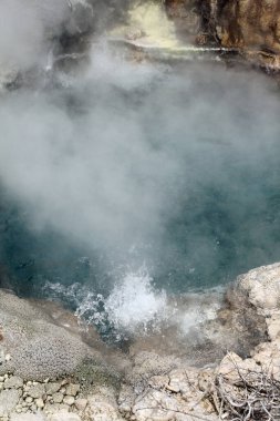 Hot Springs in Rotorua. Bay of Plenty. New Zealand