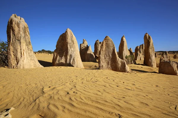 在澳大利亚的沙漠 石峰在 Nambung 国家公园的岩层 西澳大利亚 免版税图库图片