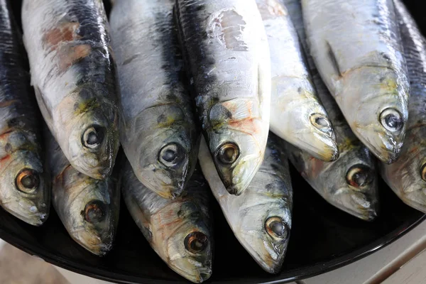 Sardinas Frescas Crudas Preparadas Para Parrilla —  Fotos de Stock