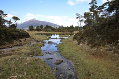 Ainsworth Körfezi 'ndeki manzara. Almirantazgo fiyort. Patagonya. Şili