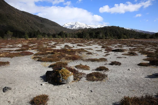 Landschap Bij Ainsworth Bay Almirantazgo Fjord Patagonië Chili — Stockfoto