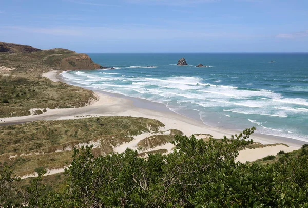 Sandfly Bay Península Otago Nova Zelândia — Fotografia de Stock