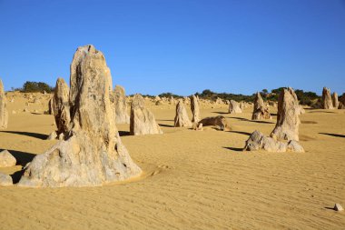 Avustralya çölde - Nambung Milli Parkı'nda Pinnacles kaya oluşumu. Batı Avustralya