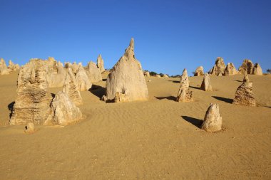 Avustralya çölde - Nambung Milli Parkı'nda Pinnacles kaya oluşumu. Batı Avustralya