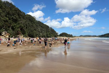 Whitianga, Yeni Zelanda 21 Aralık 2019: Sıcak Su Sahili - Kum kazarak küçük havuzlar yapan insanlar. Yeraltında sadece alçak gelgitte filtrelenen kaplıcalar var. Whitianga 'da. Yeni Zelanda