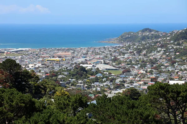 Wellington Bakın Yeni Zelanda Nın Başkenti — Stok fotoğraf