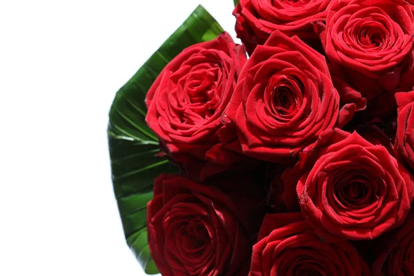 コピースペース付きの素晴らしい赤いバラの花束 — ストック写真