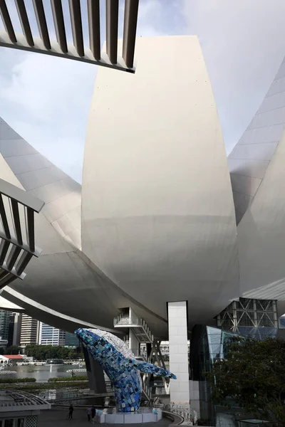 2019年12月16日新加坡共和国新加坡 参观新加坡滨海湾区艺术科学博物馆 — 图库照片