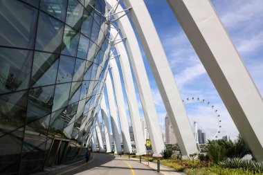 Singapur Cumhuriyeti, Singapur - 16 Aralık 2019: Körfez kenarındaki bahçeler - Singapur 'un orta kesimindeki geri kazanılmış toprakların harika bir doğa parkı.