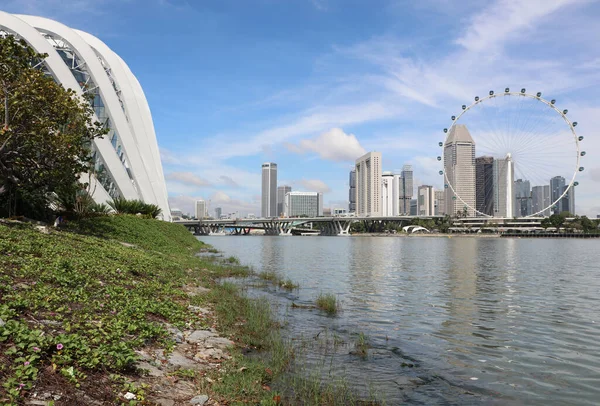 Singapore Republiek Singapore December 2019 Tuinen Aan Baai Een Prachtig — Stockfoto