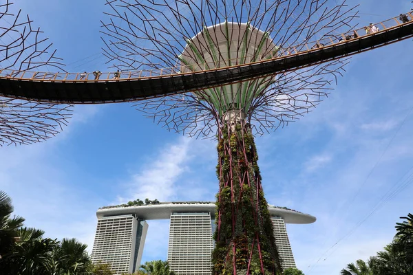 Singapore Republiek Singapore December 2019 Supertree Grove Gardens Bay Een — Stockfoto