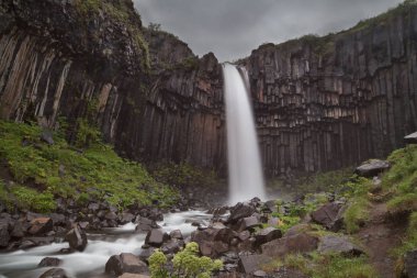 Svartifoss şelale Skaftafell