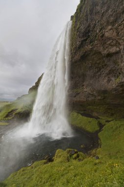 Seljalandsfoss yaz, İzlanda