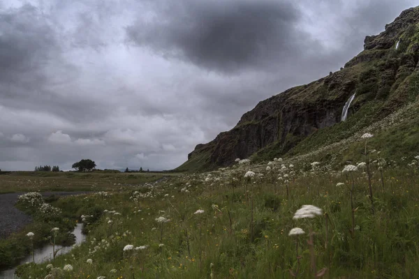 Seljalandsfoss το καλοκαίρι, Ισλανδία — Φωτογραφία Αρχείου