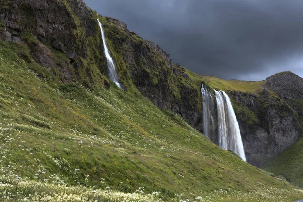 Seljalandsfoss in de zomer, IJsland Stockfoto