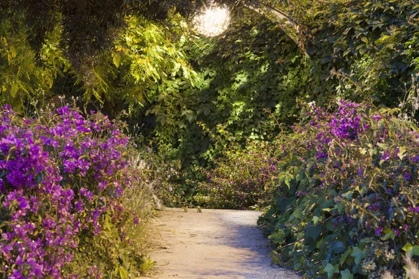 Parc del Centre del Poblenou