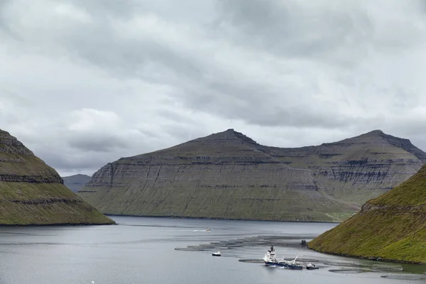 Allevamento di salmoni nelle Isole Faroe — Foto Stock
