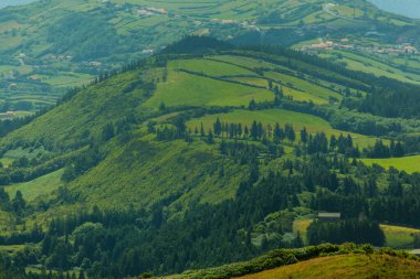 Faial, Azores 'de tarım alanları