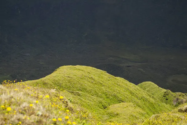 Detailní záběr kráteru, Faial — Stock fotografie
