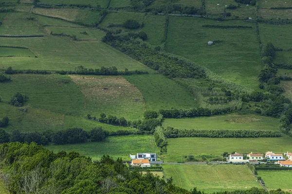 Modèle agricole vert de Faial Island, Açores, Portugal — Photo