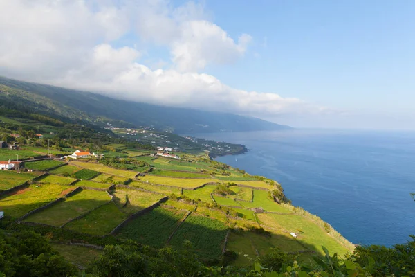 Ponta da Queimada, île de Pico, Açores, Portugal — Photo