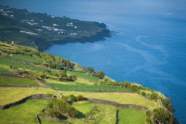 Ponta da Queimada, Pico Island, Azores, Portugal — стокове фото
