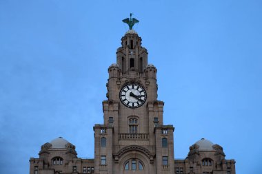 Liverpool 'daki Royal Liver Binası' nın saat kulesi.