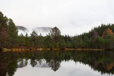 Uath Lochan, Kincraig, İskoçya, Uk
