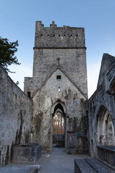 Opactwo Muckross, Irlandia, Wielka Brytania — Zdjęcie stockowe