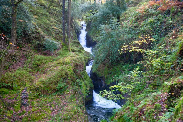 Poulanass Waterfall, Wicklow National Park, Irlanda — Fotografia de Stock