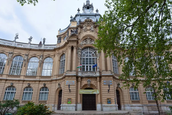 Budapest Hongarije Mei 2017 Ingang Van Het Landbouwmuseum Kasteel Vajdahunyad Stockfoto