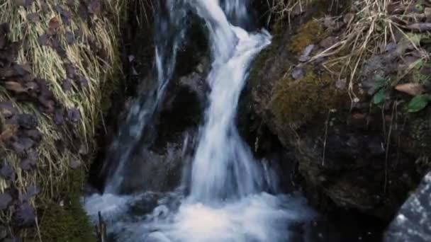 Printemps coulant dans les Pyrénées 