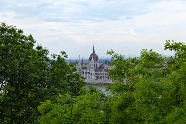 Budapest Ungern Maj 2017 Ungerska Parlamentet Inramat Träd — Stockfoto