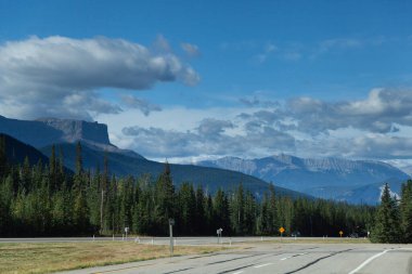 Kanadalı Kayalıklar Sarı Başlı Otoyol 16, Alberta
