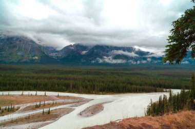 Athabasca Nehri ve Brüksel Tepesi, Mount Christie, Mount Fryatt, Canadian Rockies, Alberta, Kanada dahil olmak üzere Hooker Icefield Sıradağları 'ndaki dağlar.