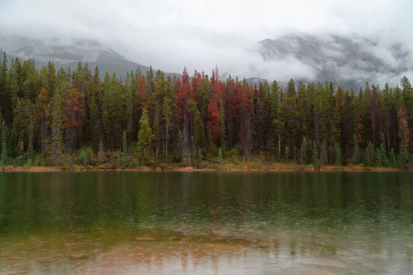 Медовый Месяц Озеро Дождливый День Джаспер Альберта Канада — стоковое фото