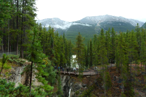 Jasper Alberta Canada 2017 People Enjoying Sunwapta Falls Trail — 스톡 사진