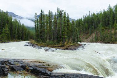 Sonbaharda Sunwapta Şelalesi, Jasper Ulusal Parkı, Alberta, Kanada