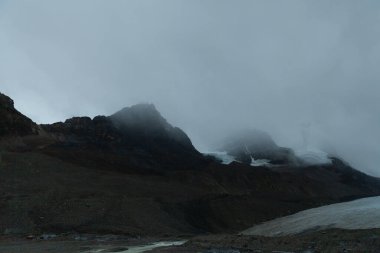 Andromeda Dağı ve Athabasca buzulu, Kanada kayalık dağları, Alberta, Kanada