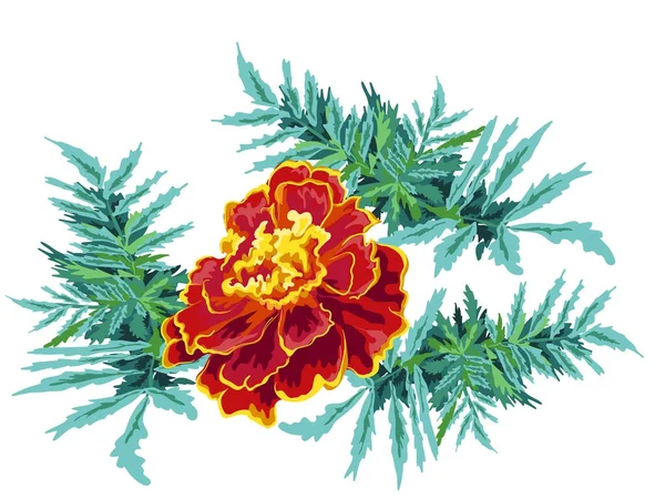 Carte de souci de fleur — Image vectorielle